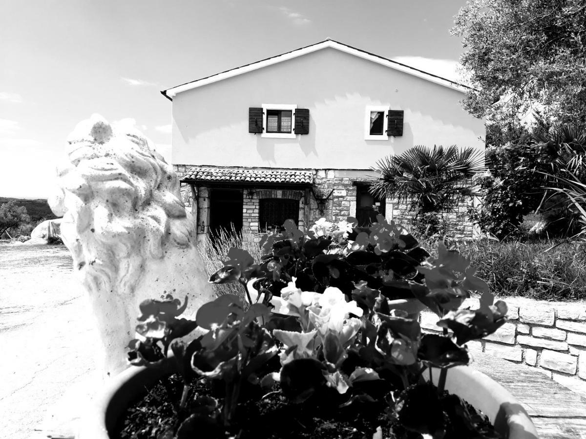 Rooms Agroturizam Romano Buje Luaran gambar